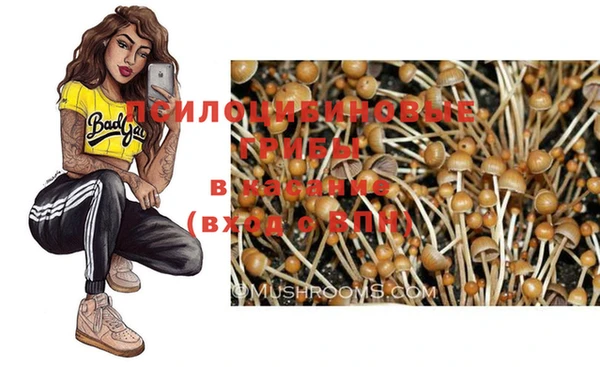прущие крисы Вяземский