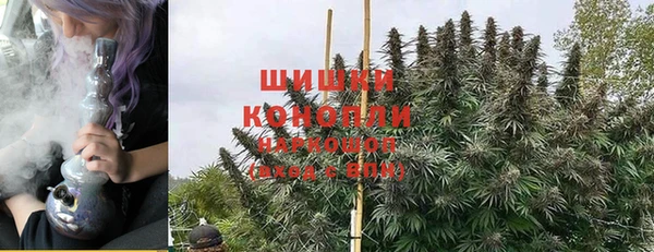 прущие крисы Вяземский