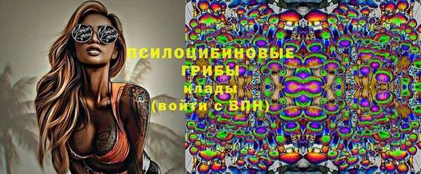 дживик Вязники