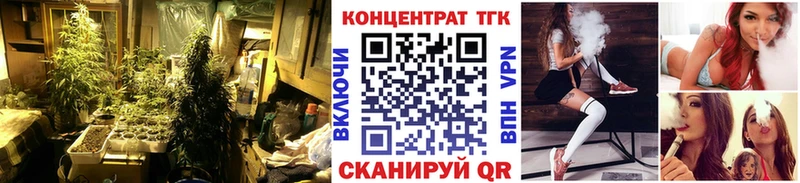 Дистиллят ТГК концентрат Ленинградская