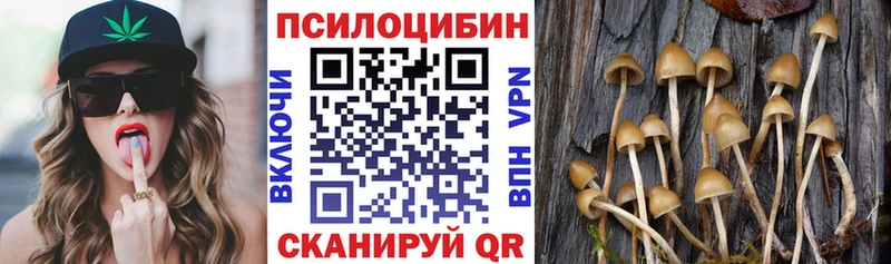 Галлюциногенные грибы MAGIC MUSHROOMS  продажа наркотиков  Ленинградская 